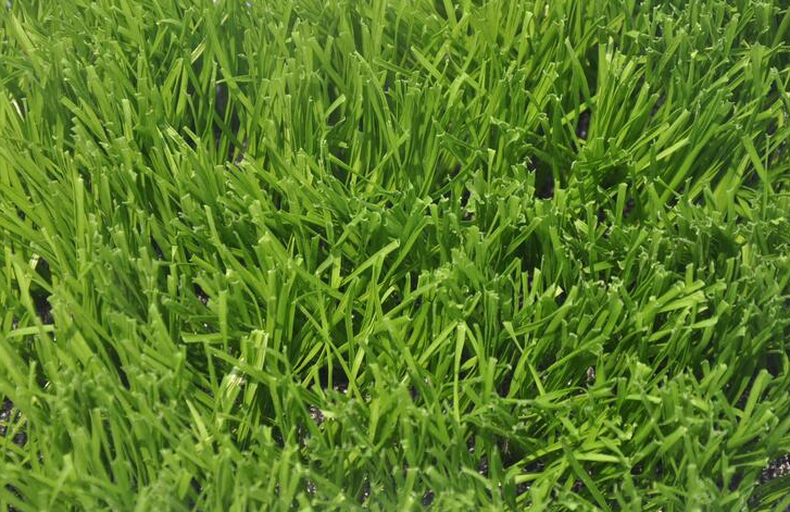 人工草坪材料展示